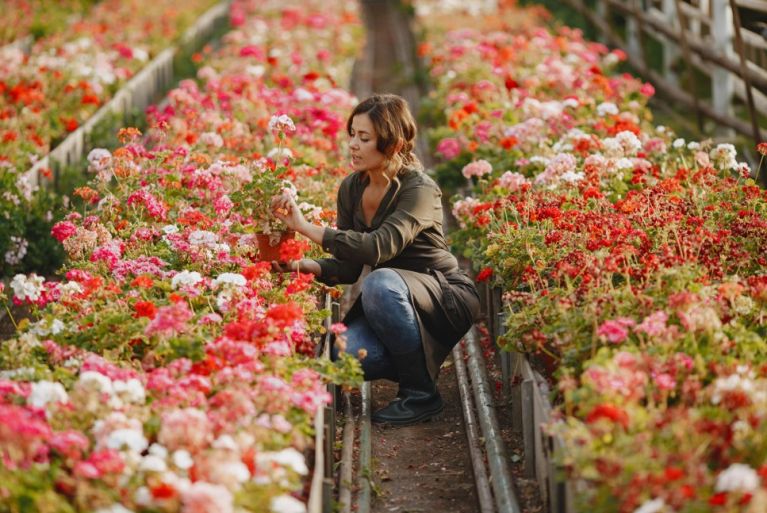 Produbanco y la flor ecuatoriana: una alianza que impulsa sostenibilidad, exportación y crecimiento